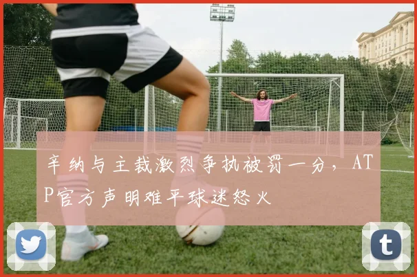 辛纳与主裁激烈争执被罚一分，ATP官方声明难平球迷怒火